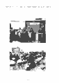 scan_33.gif