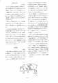 scan_62.gif